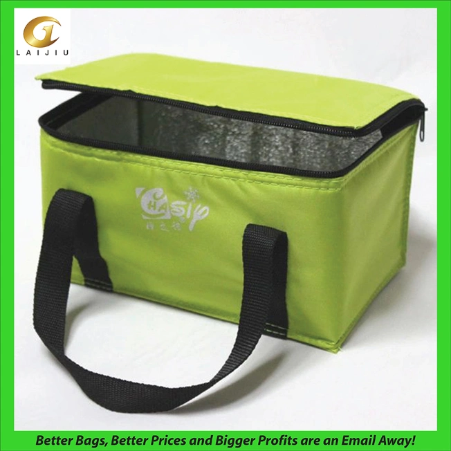 Insulated Promotional Can Cooler Bags for Food Package, Insulated Picnic Lunch Bag Large Soft Cooler Bag for Outdoor/Camping/BBQ/Travel